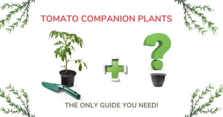 Tomato Companion Plants – Best and WORST Plants To Use