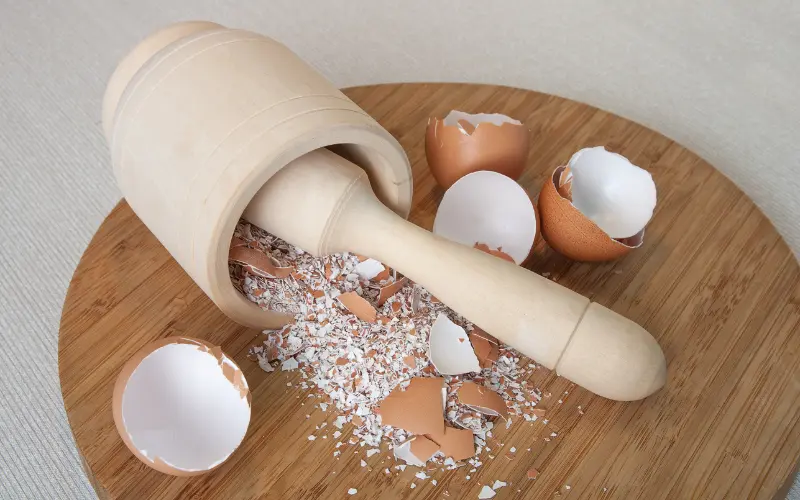 crushed egg shells for calcium
