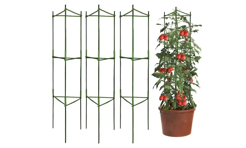 rectangular tomato cage
