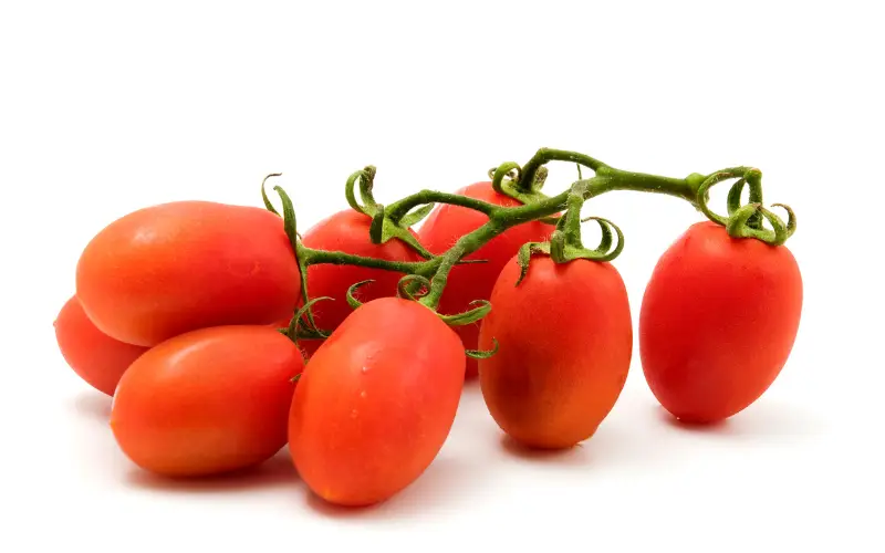 romato tomatoes