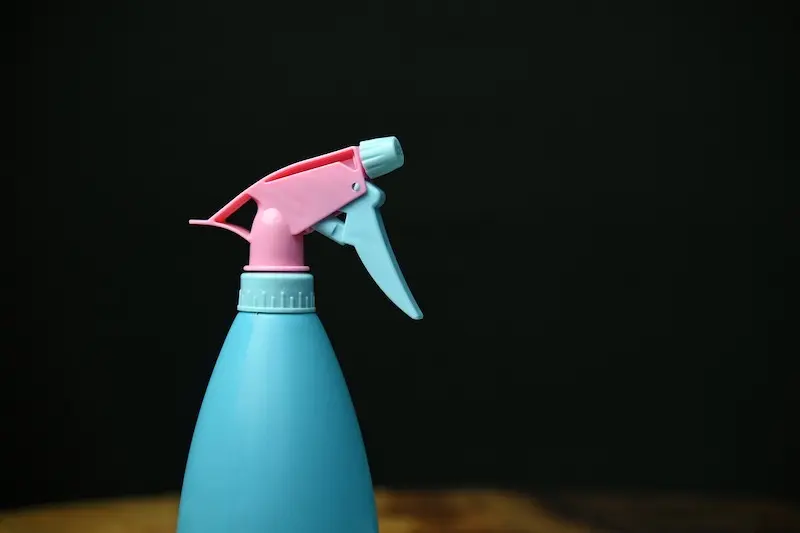 watering tomato seeds with spray bottle