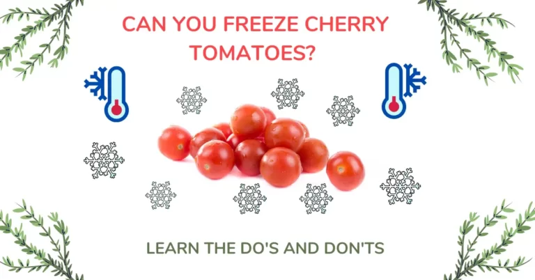 Can You Freeze Cherry Tomatoes? Do’s and Don’ts