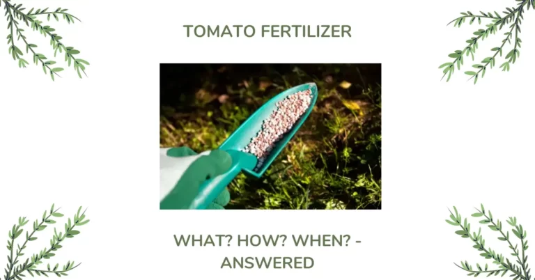 Tomato Fertilizer – The ONLY Guide You Need