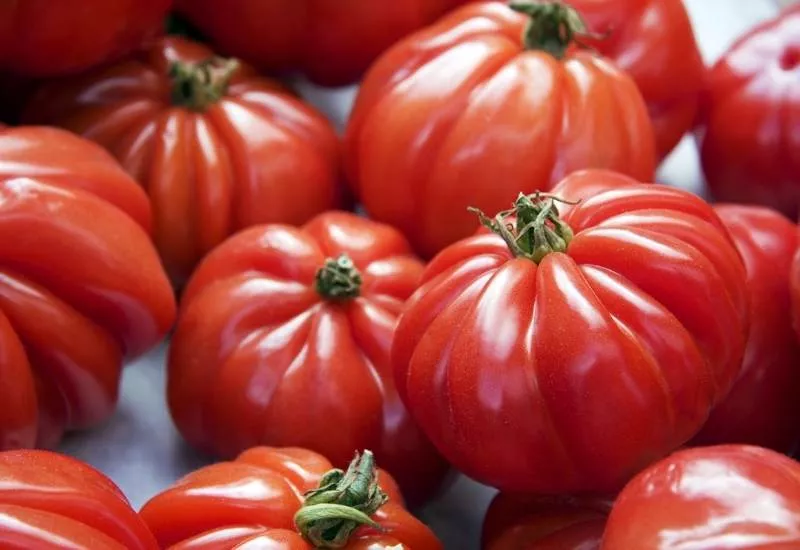 big beef tomatoes with stems