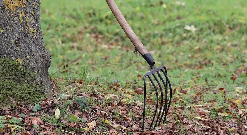 garden fork