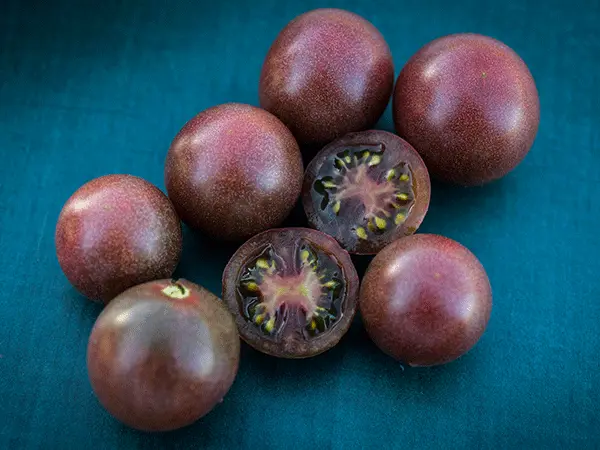 Stars on top of my black cherry tomatoes : r/mildlyinteresting