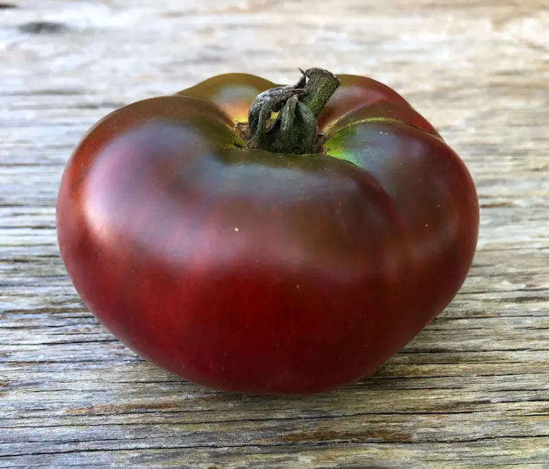 Carbon Tomato