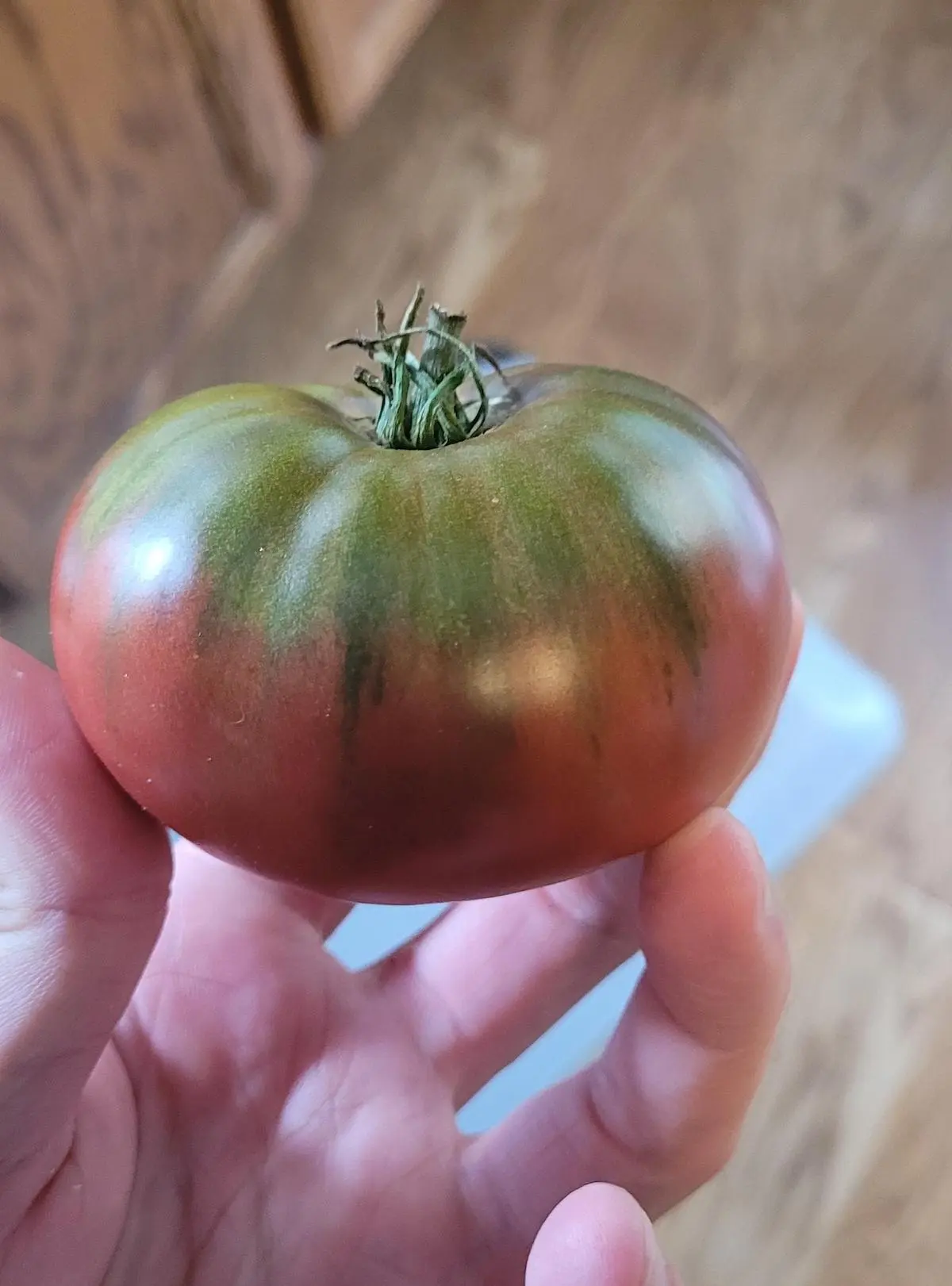 cherokee purple tomato